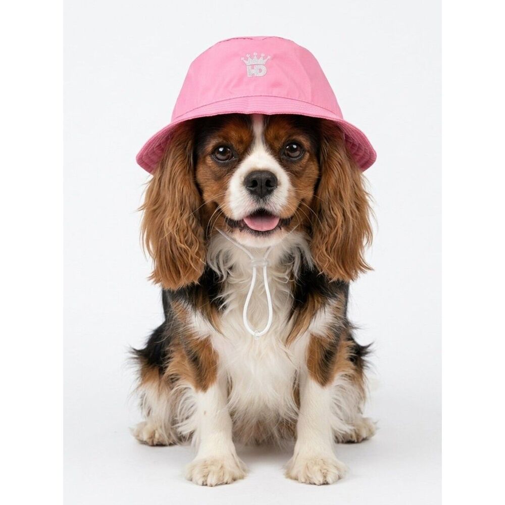 HD Pet Rain Hat - sz XL (17" head diameter)